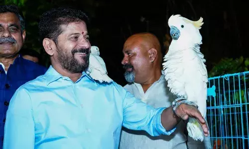 `Unwind by the water: CM Revanth announces night tourism plan for Musi riverfront