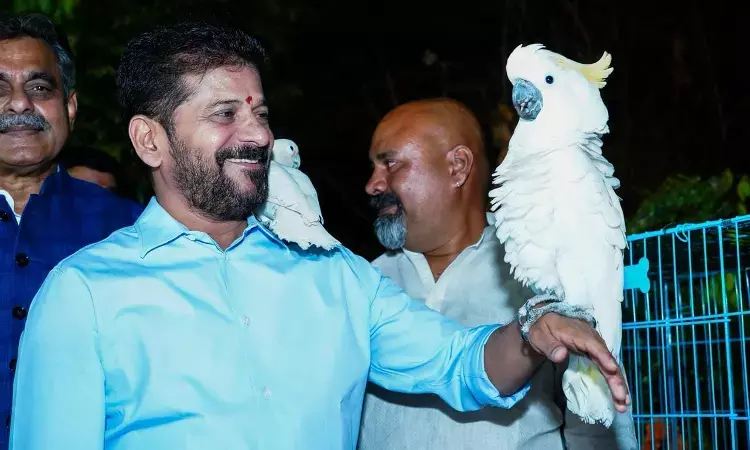 `Unwind by the water: CM Revanth announces night tourism plan for Musi riverfront