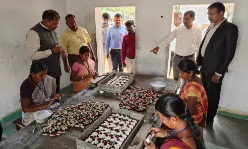 After Kakinada blast, AP police study Sivakasiās firecracker safety model to prevent future tragedies After Kakinada blast, AP police study Sivakasiās firecracker safety model to prevent future tragedies