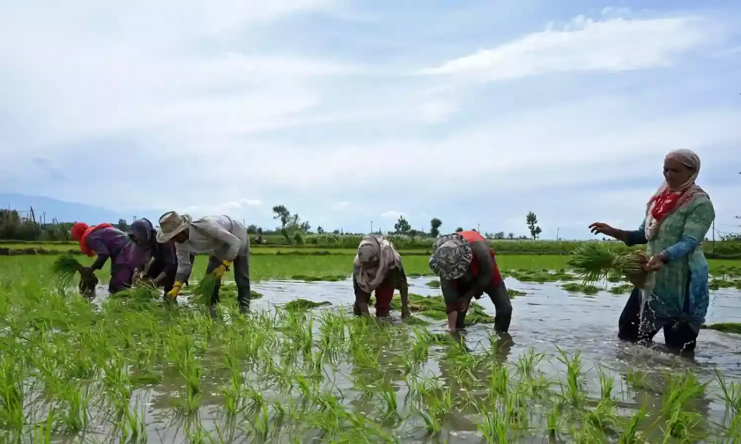 Telangana forms third DISCOM TGRPDCL to streamline power supply for farmers