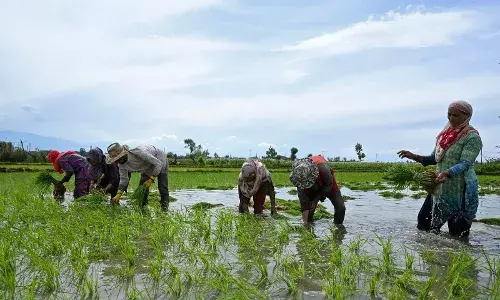 Telangana forms third DISCOM TGRPDCL to streamline power supply for farmers