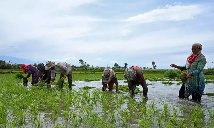 Telangana forms third DISCOM TGRPDCL to streamline power supply for farmers