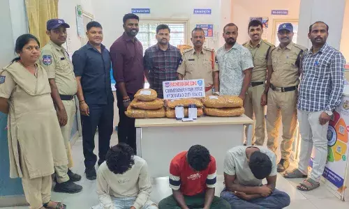 3 ganja peddlers caught in Chilkalguda; 11.5 kg of contraband seized