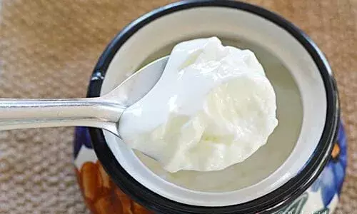 Hyderabad: GHMC raids NNR Enterprises in Amberpet; seizes 2,500 kg `adulterated curd