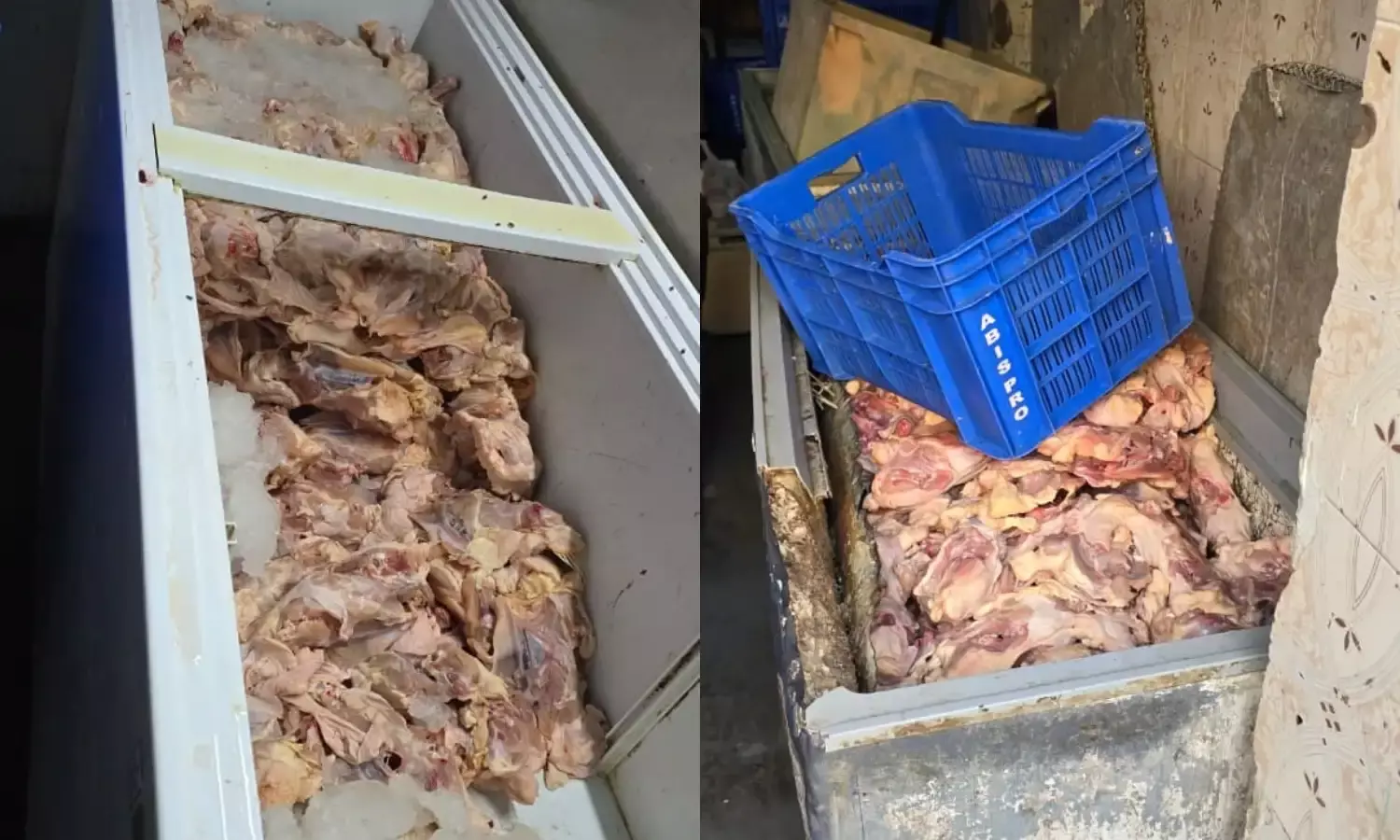 610 kg of rotten chicken seized in Musheerabad, shop owner arrested