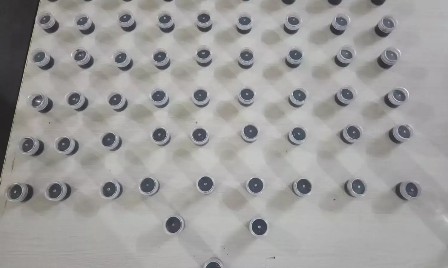 Madhapur: Serilingampally SOT seizes hash oil worth ₹2.5 lakh, one arrested