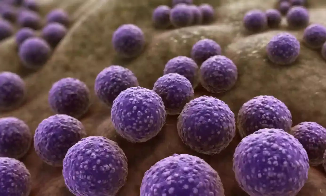 What’s in our wastewater? Hyderabad-based CCMB study reveals spread of antibiotic resistance