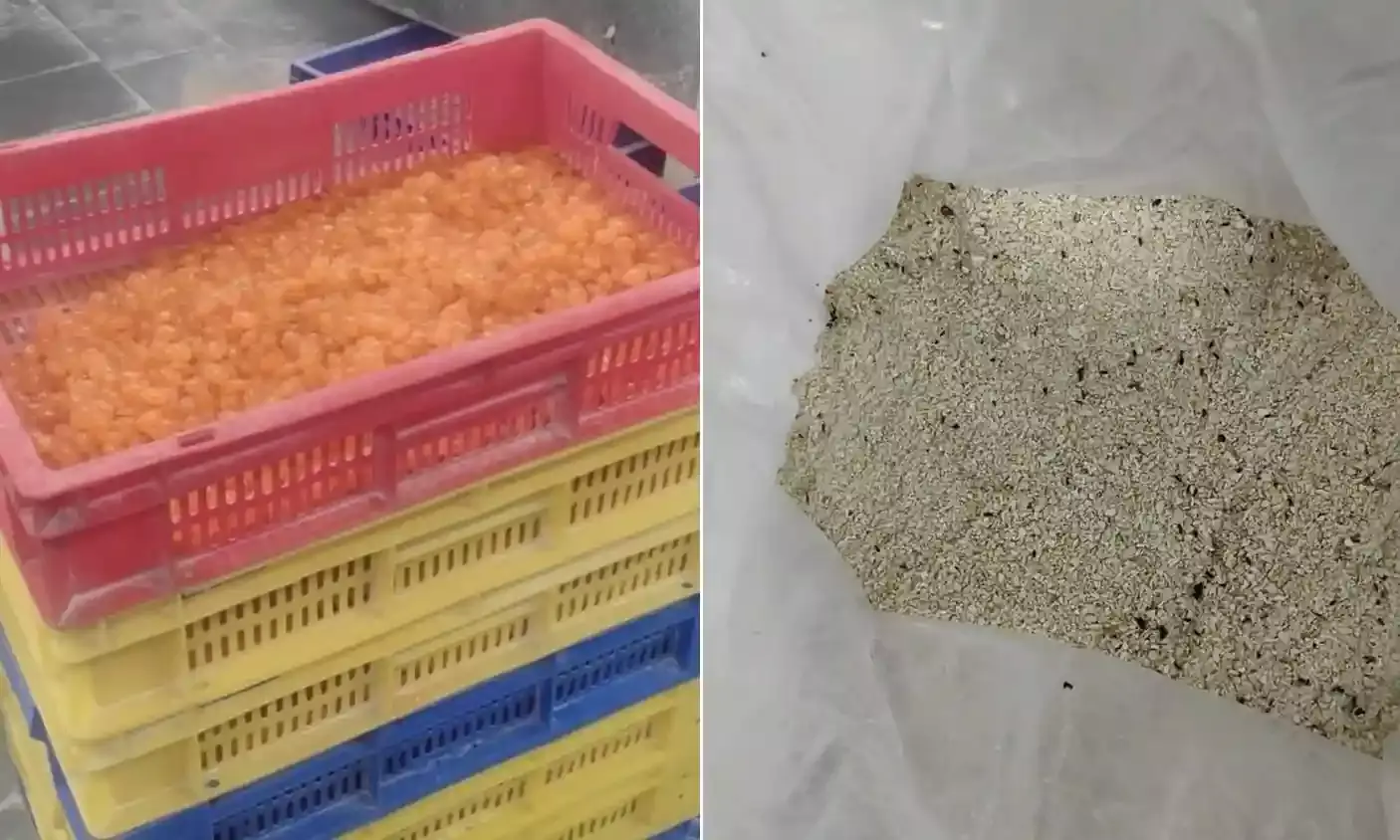 Insect-infested cashews, expired ingredients in sweets: Telangana food safety raids expose shocking violations