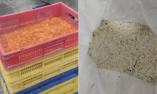 Insect-infested cashews, expired ingredients in sweets: Telangana food safety raids expose shocking violations Insect-infested cashews, expired ingredients in sweets: Telangana food safety raids expose shocking violations