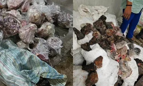 14 tonnes of rotten meat being supplied to city hotels seized in Mangalhat; one held