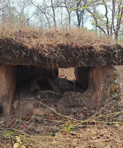 Mulugu: Massive cluster of ancient ‘Rakasi’ burial sites discovered in Telangana