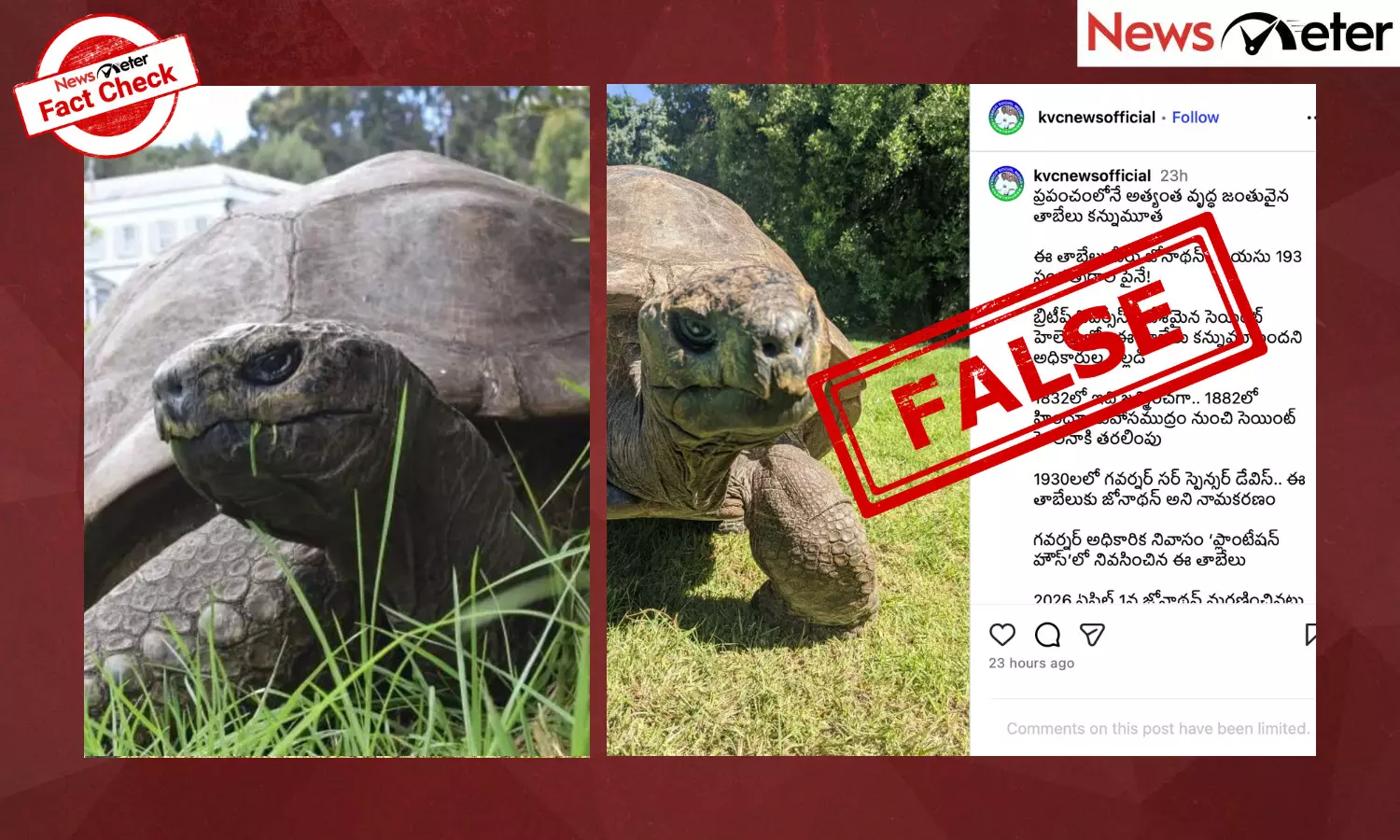 Posts claiming that Jonathan, the world’s oldest known tortoise, has died are going viral on social media. Posts claiming that Jonathan, the world’s oldest known tortoise, has died are going viral on social media.