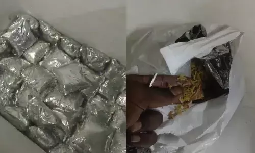 Spoiled biryani delivered from ‘Lucky Biryani Shawarma’ in Banjara Hills, police book owner & seal hotel
