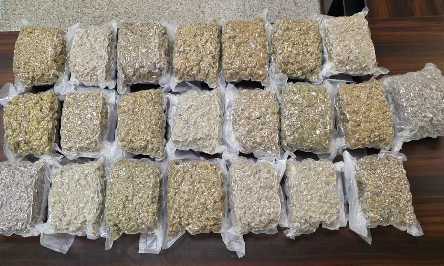 Hyderabad airport drug bust: Two held with Rs 4.6 crore hydroponic weed at RGIA Hyderabad airport drug bust: Two held with Rs 4.6 crore hydroponic weed at RGIA