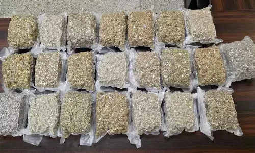 Hyderabad airport drug bust: Two held with Rs 4.6 crore hydroponic weed at RGIA