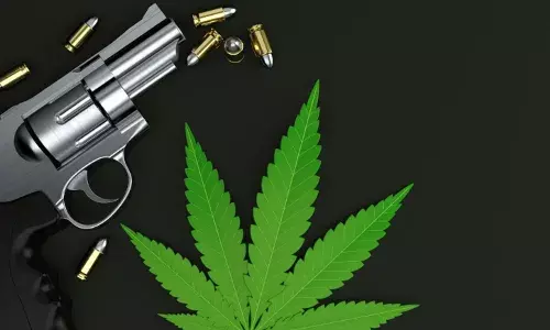 Telangana Excise makes rare seizure: 16 kg ganja and 40 bullets found in Palvancha raid