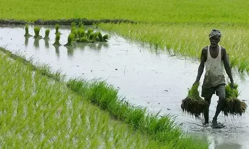 Mausam Vani : IITM Pune to launch ChatGPT-style weather forecast app for farmers