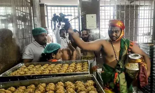 TTD ghee adulteration row: Panel blames YSRCP-era top officials, exposes procurement failures