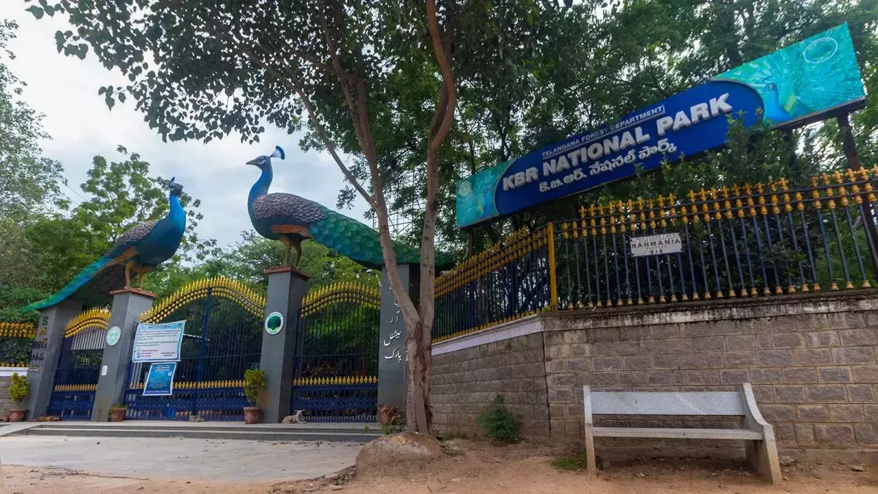 āKBR Parkās eco-zone reduced to 3 metresā: Hyderabad activists demand accountability after SC stay on tree felling āKBR Parkās eco-zone reduced to 3 metresā: Hyderabad activists demand accountability after SC stay on tree felling
