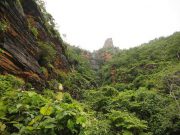 Draft EIA policy: Life of tribals, TS green cover at risk of getting ruined