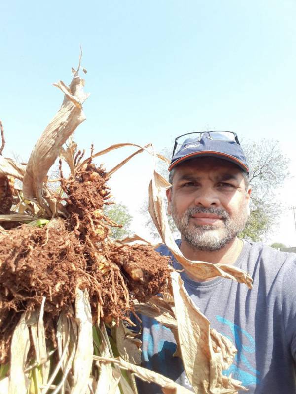 Mujtaba Hasan Askari With Turmeric Roots (1)