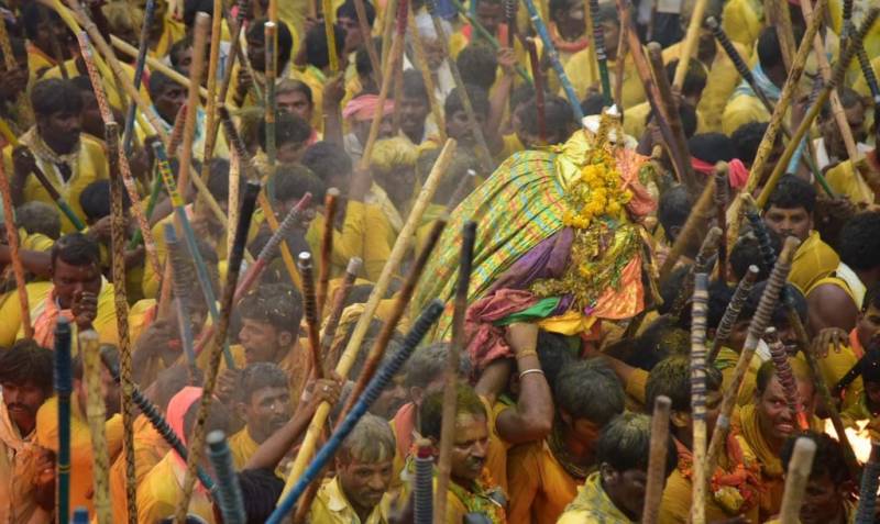 Bunny Festival in Kurnool