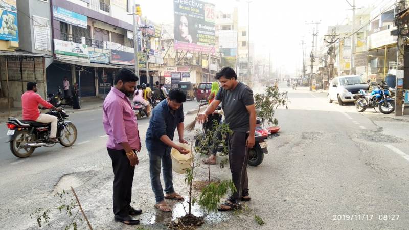 Locals plant saplings in potholes