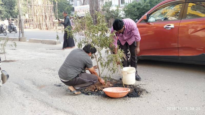 Locals plant saplings in potholes