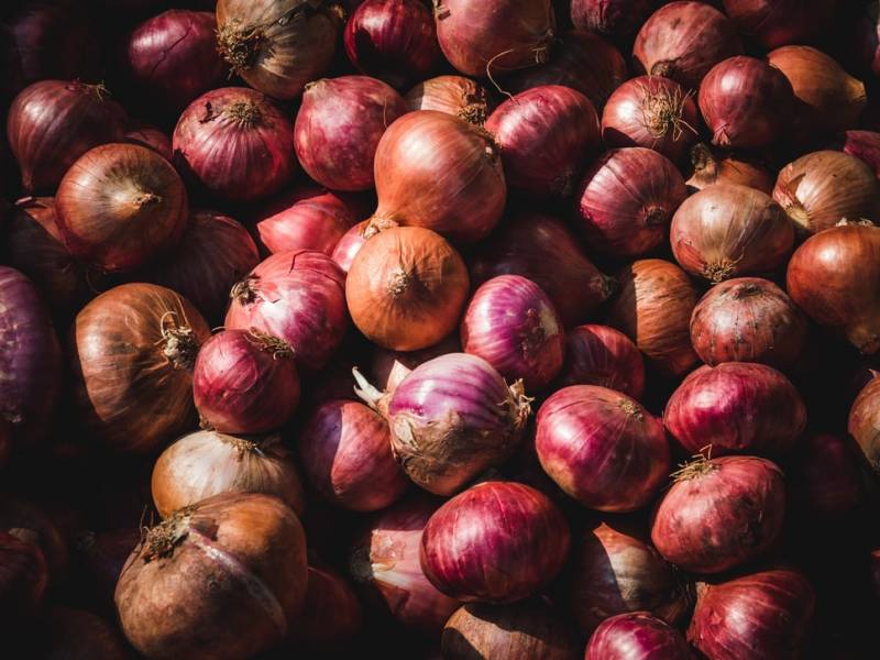 600 quintals of onions worth, Onions illegal hoarding seized in andhra