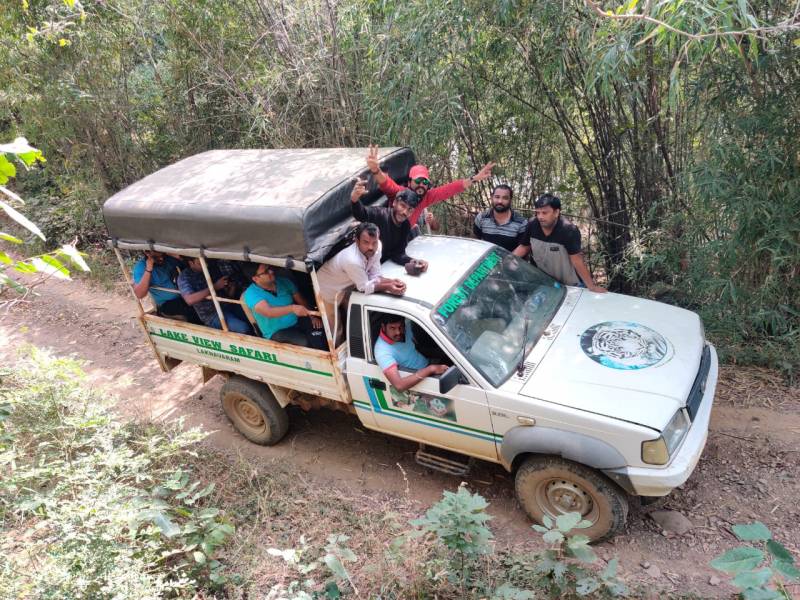 Jungle Safari At Laknavaram