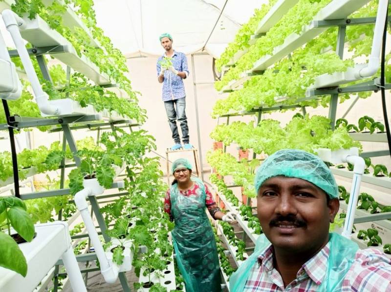 Learn how to do soil-less farming from this Hyderabad couple
