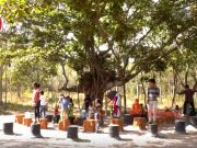 Kandlakoya Oxygen Park: Breathing life into the city