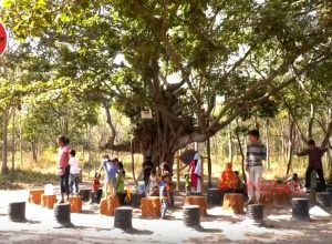 Kandlakoya Oxygen Park: Breathing life into the city