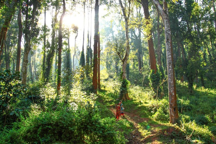 Araku Valley In February