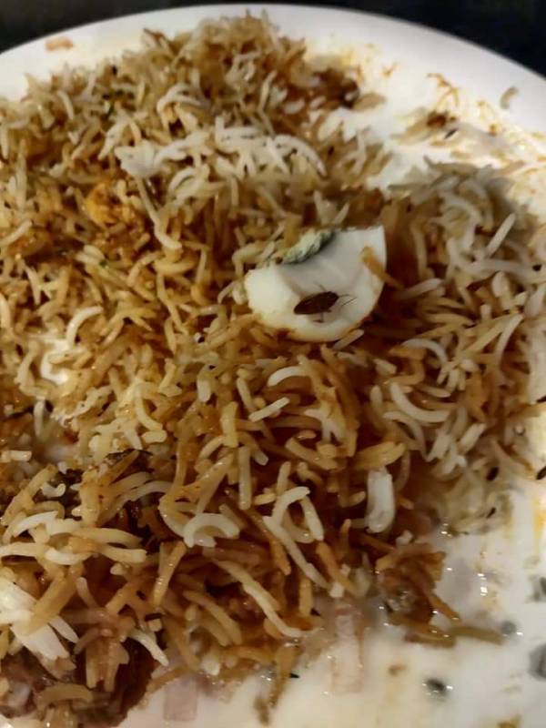 Cockroach In Briyani