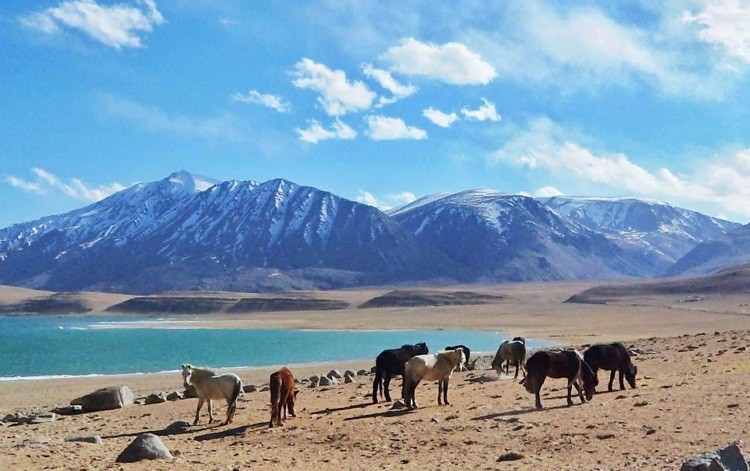 Leh In February