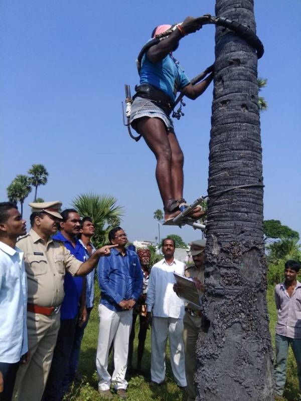 toddy tapping palm tree climbing machine vollala saikumar mulugu youth
