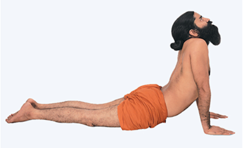 Bhujangasana