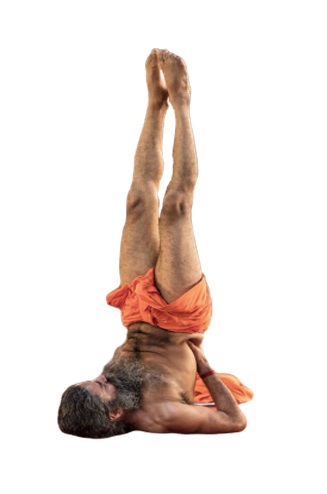 Sarvangasana