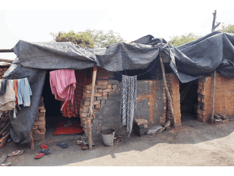 No wages, no food: Brick kiln laborers suffer in silence