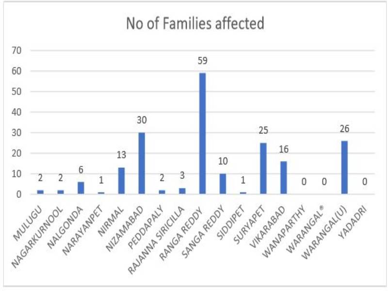 Family 2 (1)