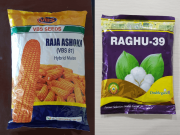 Spurious seed racket busted in Hyderabad, seeds worth Rs. 52 L seized