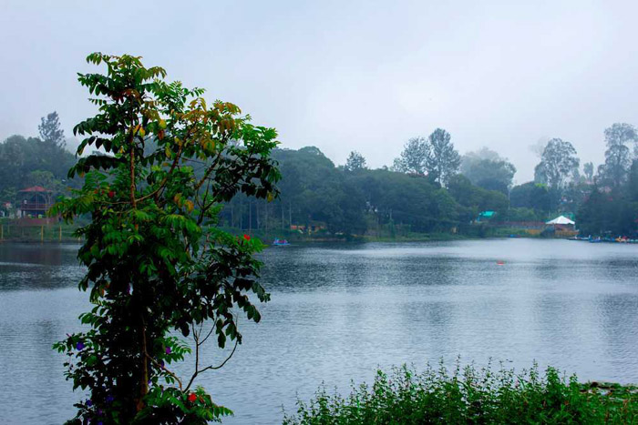 Yercaud