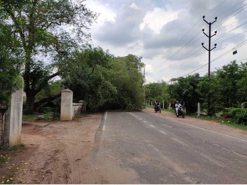 KTR requests Rajnath to remove barricades from Secunderabad Cantonment roads