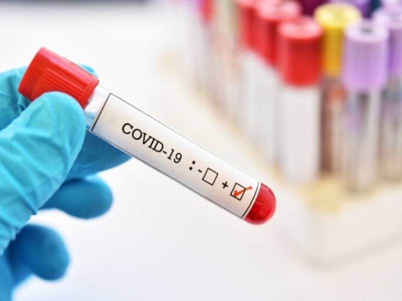 Explainer: What is Swab Test for COVID, How does diagnostic test work