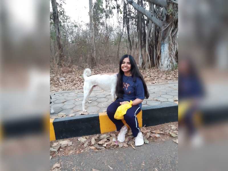 Hyderabadis turn saviours for stray dogs on university campuses