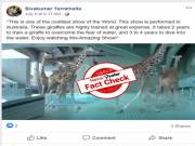 Viral video of giraffes diving into swimming pool is NOT a Real show..But an Animation !!