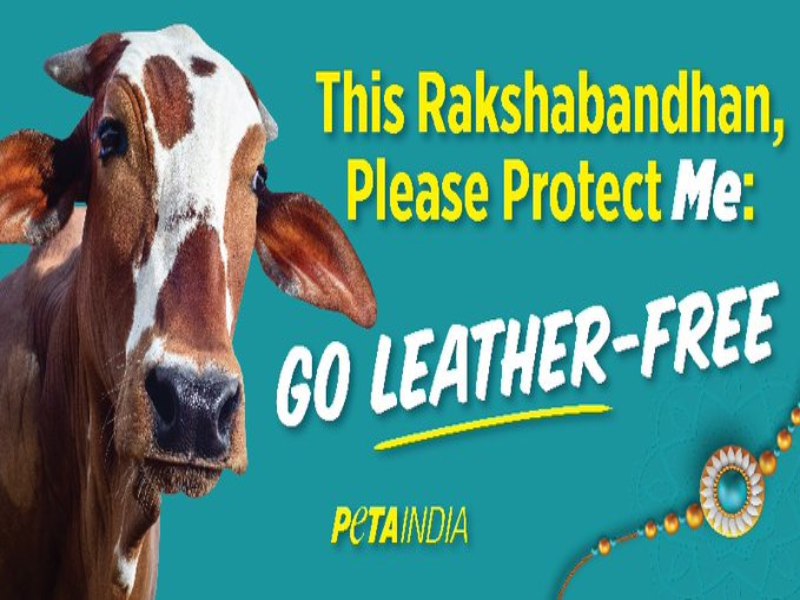 Peta Rakshabandhan