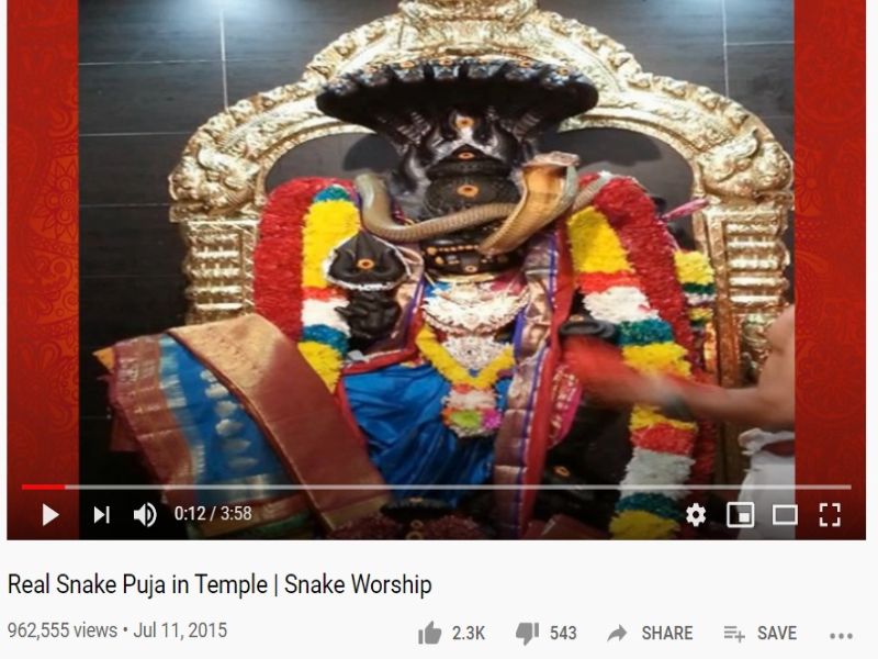 Snake Puja