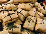 1,050 kg ganja worth Rs 2.62 cr seized, 1 person arrested